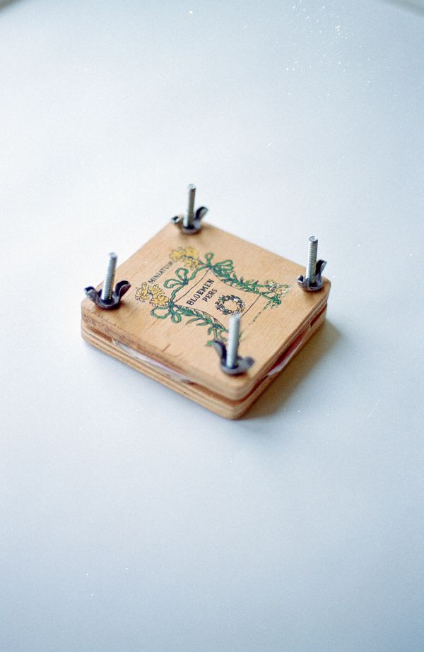 © Giulia Menicucci - Image from the Cuttlefish bones photography project