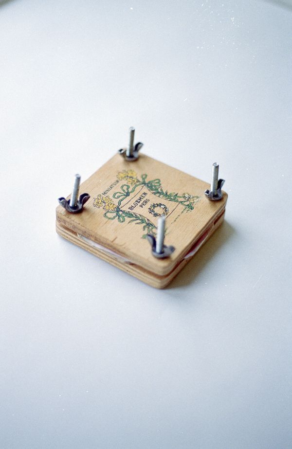 © Giulia Menicucci - Image from the Cuttlefish bones photography project