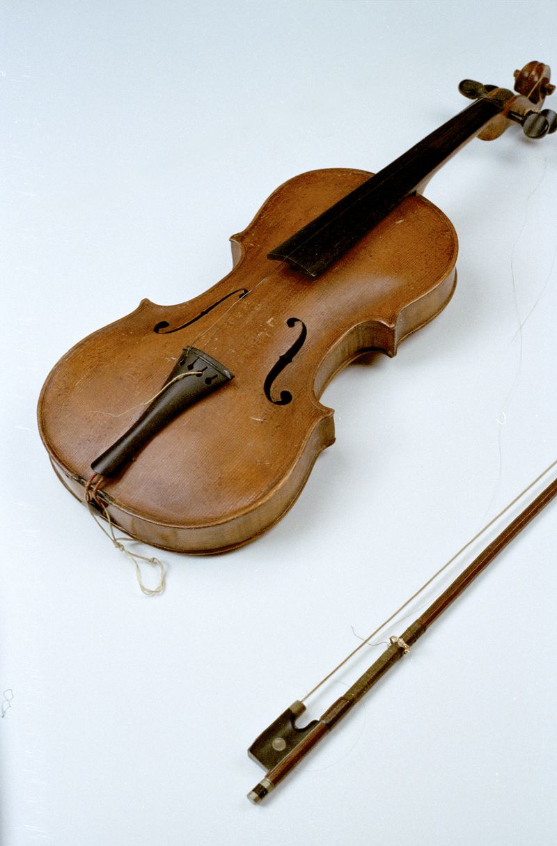 © Giulia Menicucci - Image from the Cuttlefish bones photography project