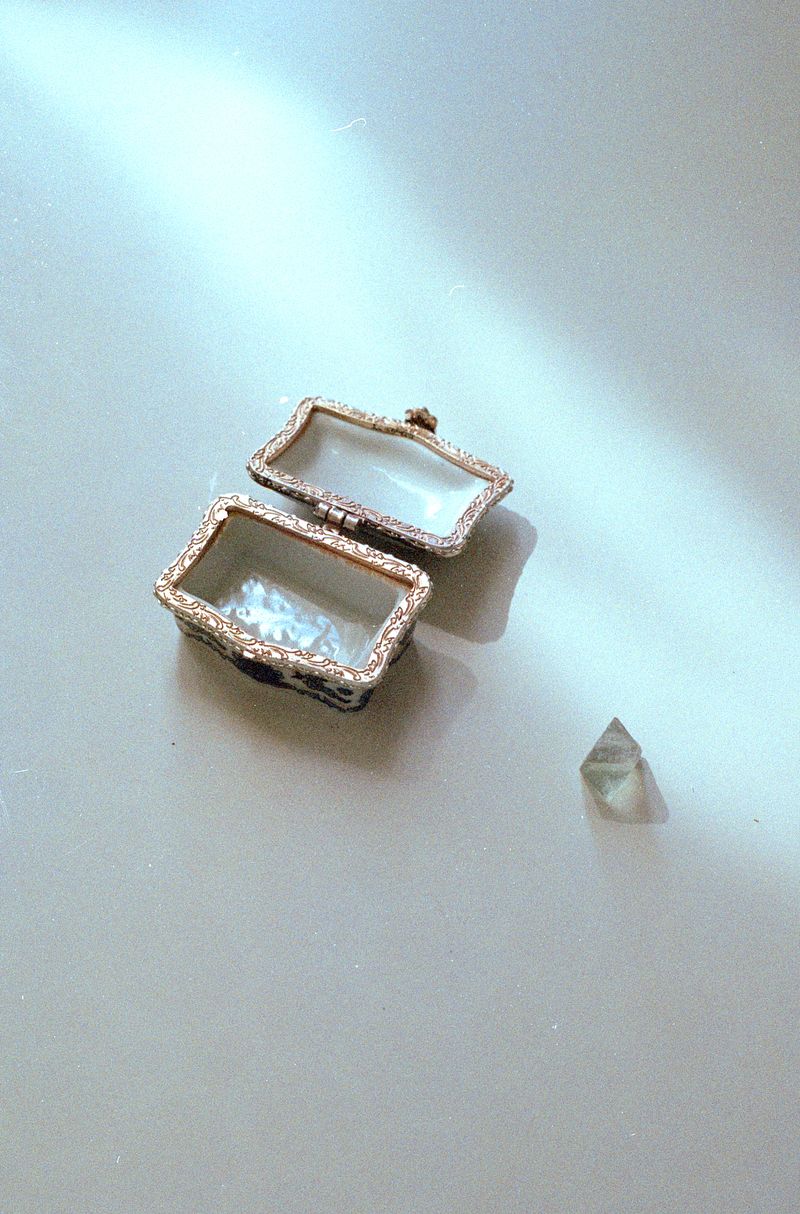 © Giulia Menicucci - Image from the Cuttlefish bones photography project