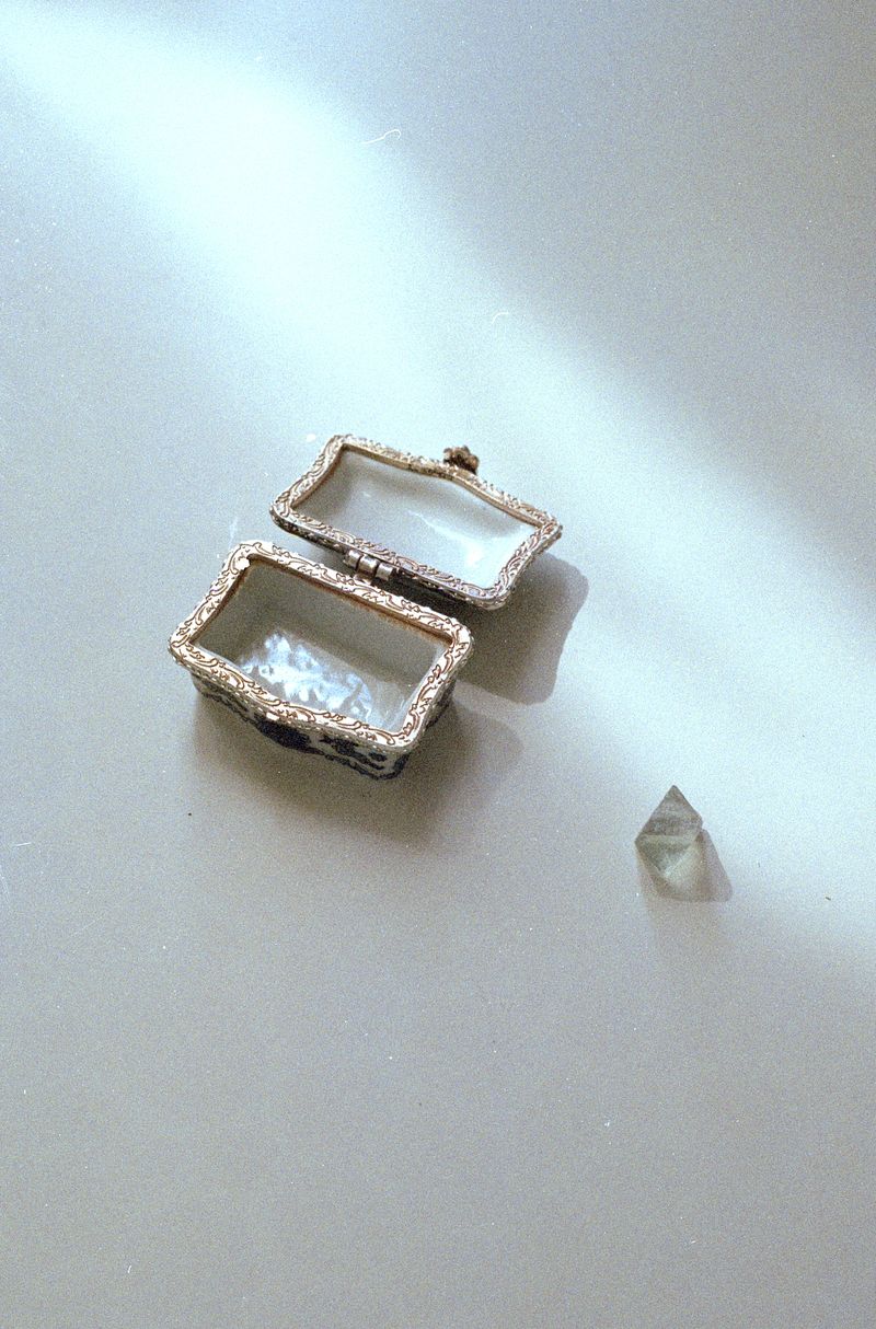 © Giulia Menicucci - Image from the Cuttlefish bones photography project