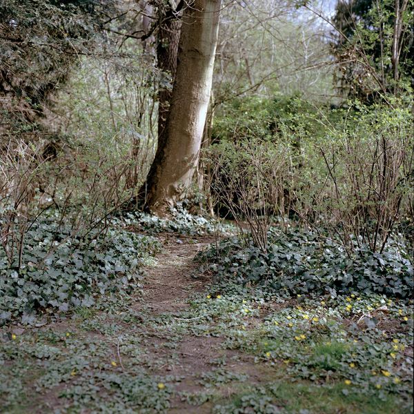 © Giulia Menicucci - Image from the Edelweißpiraten sind treu photography project