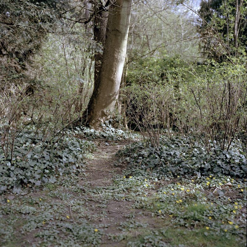 © Giulia Menicucci - Image from the Edelweißpiraten sind treu photography project