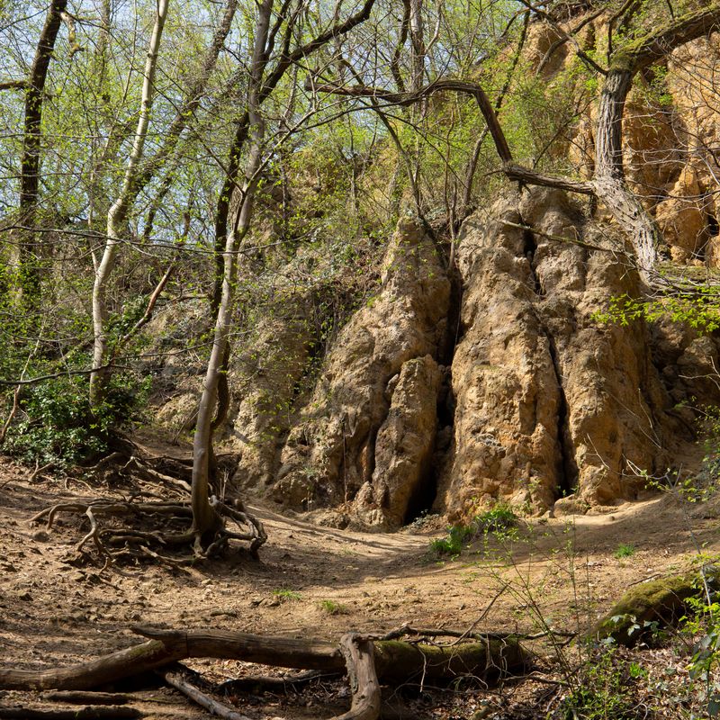 © Giulia Menicucci - Image from the Edelweißpiraten sind treu photography project