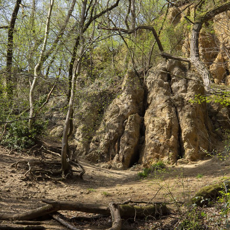 © Giulia Menicucci - Image from the Edelweißpiraten sind treu photography project