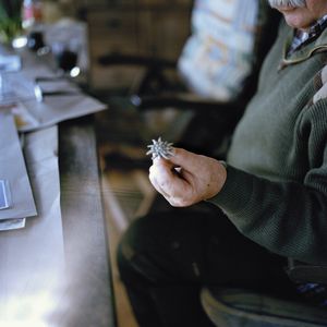 Edelweißpiraten sind treu