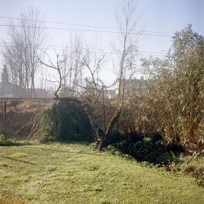 © Giulia Menicucci - Image from the twenty seven springs, to get to know my father photography project