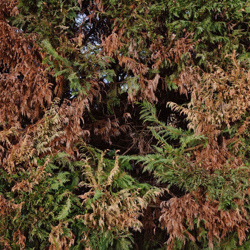 © Giulia Menicucci - Image from the twenty seven springs, to get to know my father photography project