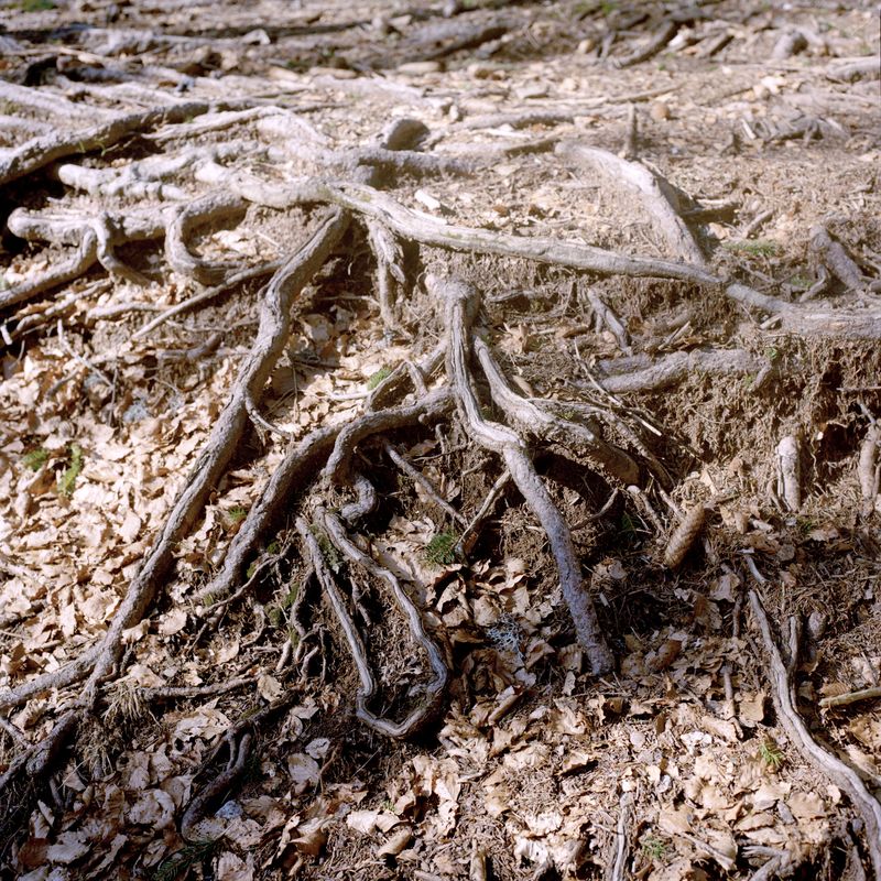 © Giulia Menicucci - Image from the twenty seven springs, to get to know my father photography project