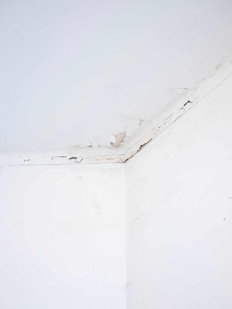 © Giulia Menicucci - Image from the Remember to Smile photography project