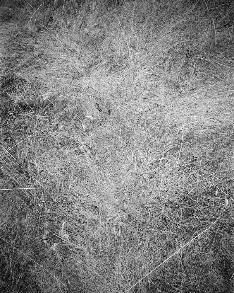 © Megan Farretta - stick with it