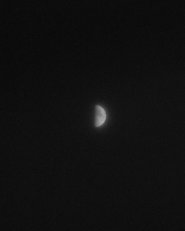 © Megan Farretta - how will i know?