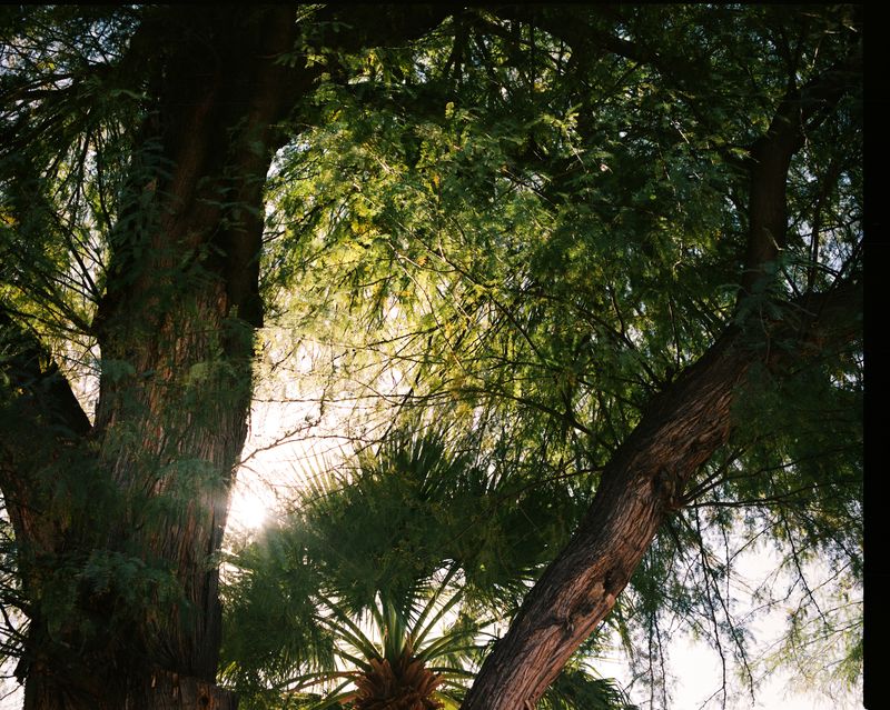 © Megan Farretta - Here With You