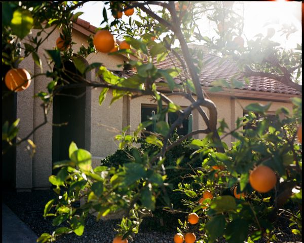 © Megan Farretta - Here To Hear