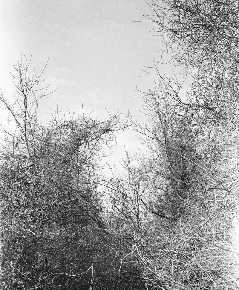 © Megan Farretta - Image from the Matriarch Mother photography project