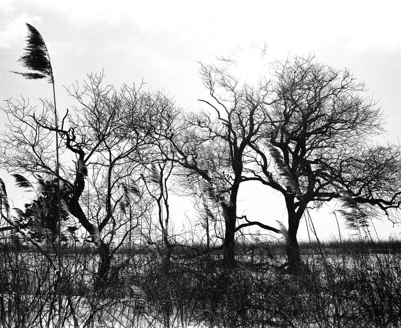 © Megan Farretta - Image from the Matriarch Mother photography project