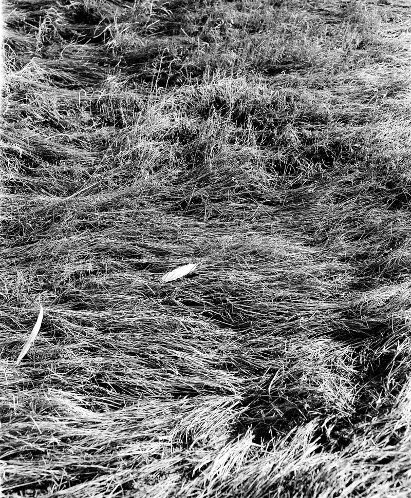© Megan Farretta - Image from the Matriarch Mother photography project