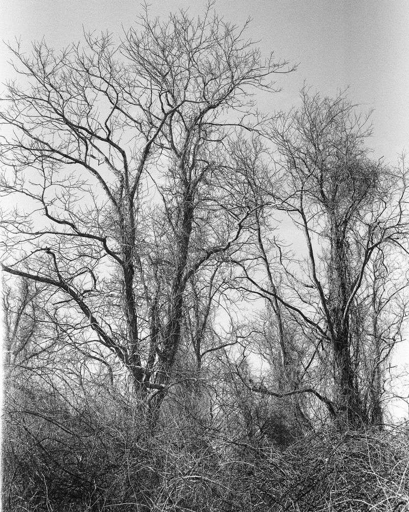 © Megan Farretta - Image from the Matriarch Mother photography project