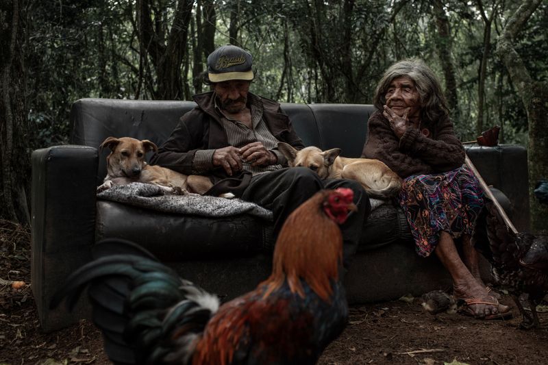 © Rafael Vilela - Image from the Forest Ruins photography project