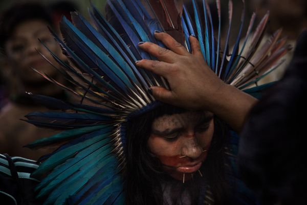 © Rafael Vilela - Image from the Forest Ruins photography project