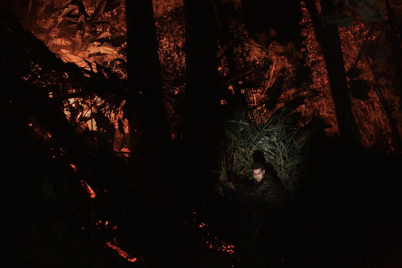 © Rafael Vilela - Image from the Forest Ruins photography project
