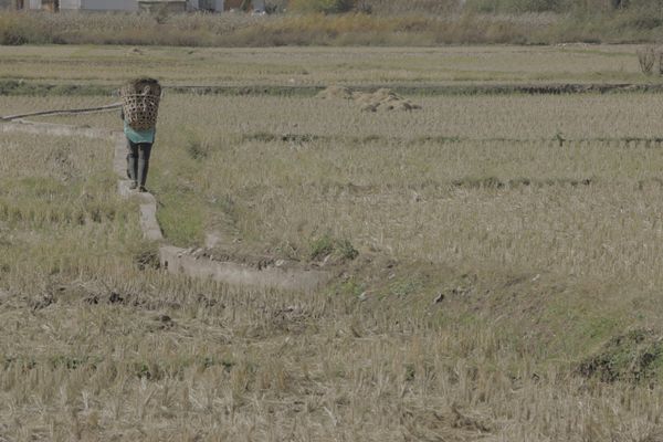 © Minxin Du - Image from the Two Kinds of Brightness photography project