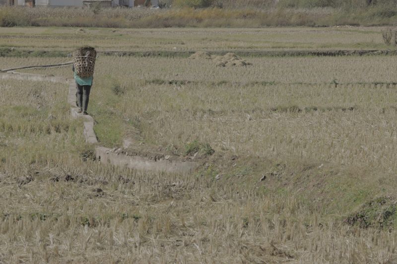 © Minxin Du - Image from the Two Kinds of Brightness photography project