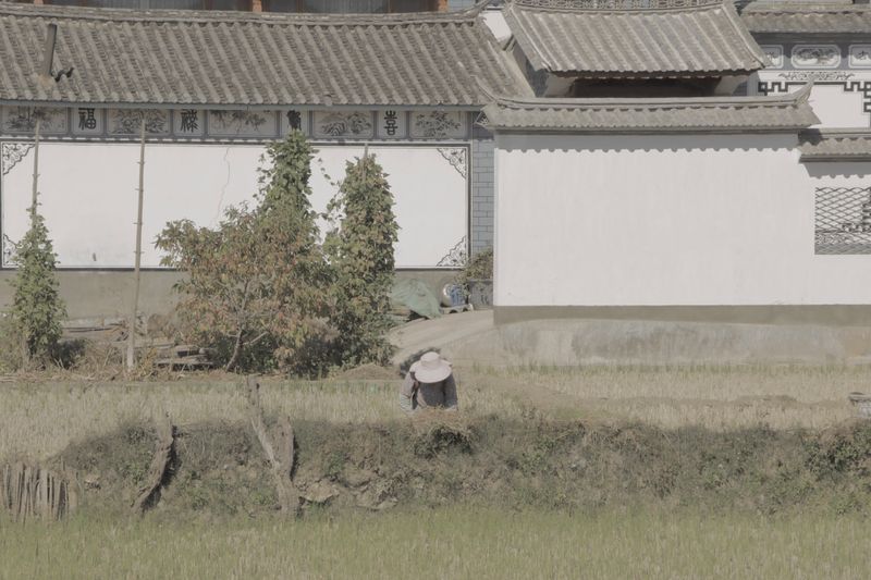 © Minxin Du - Image from the Two Kinds of Brightness photography project