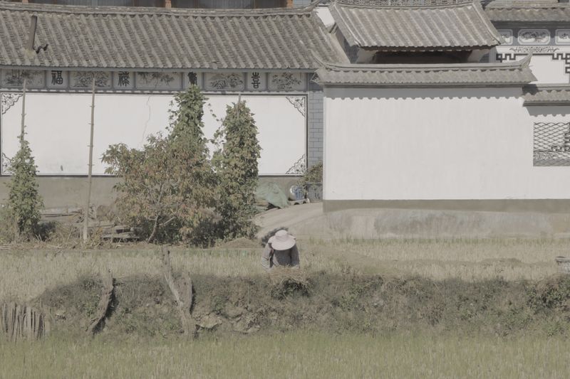 © Minxin Du - Image from the Two Kinds of Brightness photography project