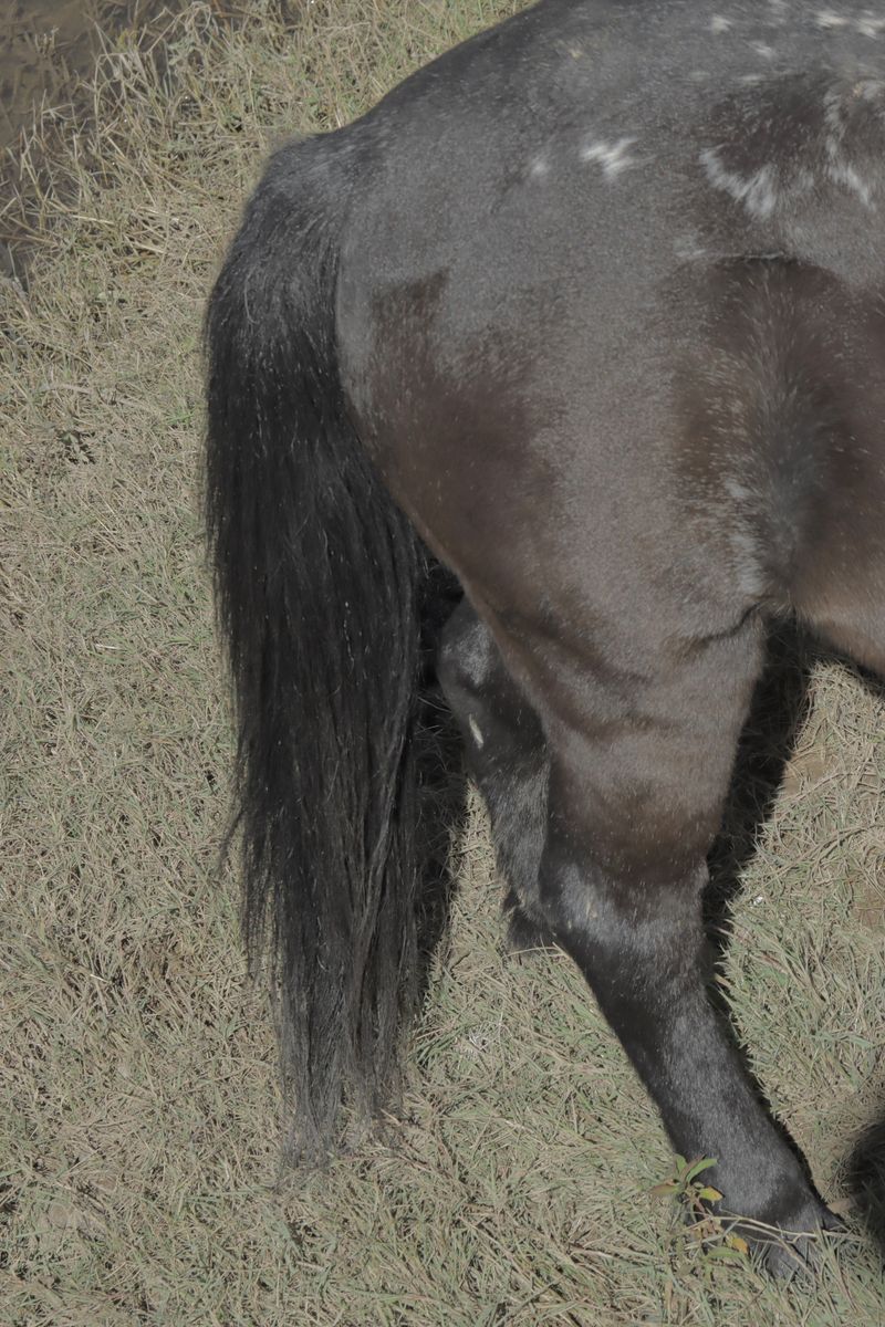 © Minxin Du - Image from the Two Kinds of Brightness photography project