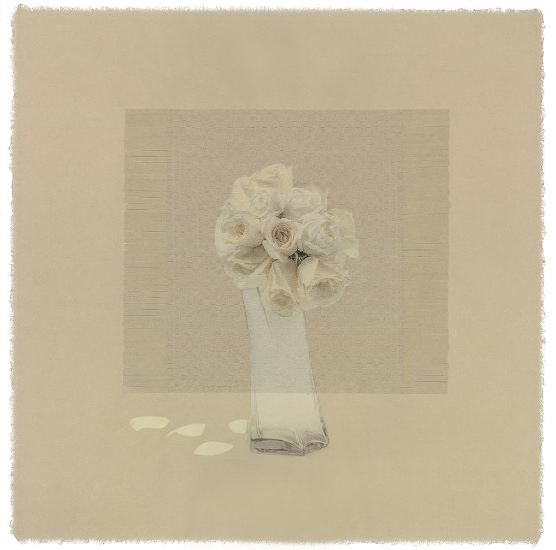 © Giljung Yoon - seesaw 02 _ rose