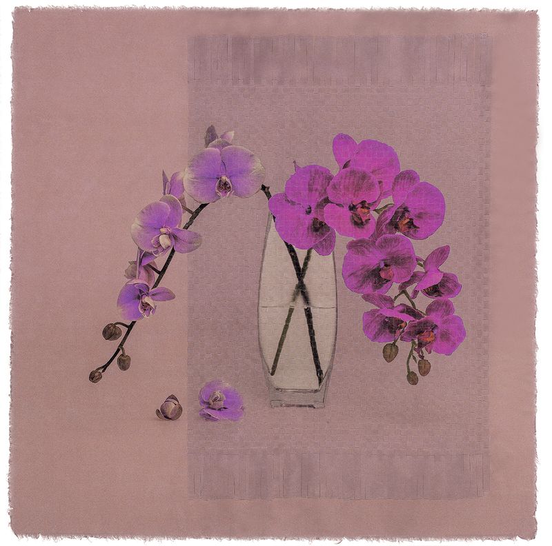 © Giljung Yoon - seesaw 07 _ tropical orchid