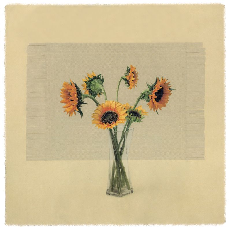 © Giljung Yoon - seesaw 04 _ sunflower