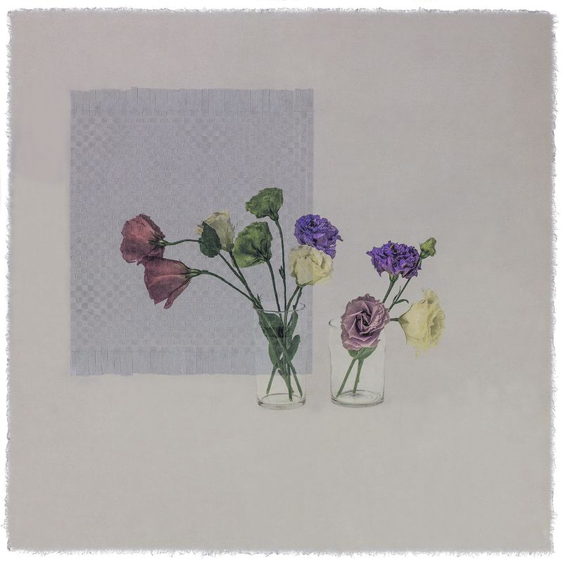 © Giljung Yoon - seesaw 12 _ carnation