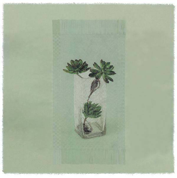 © Giljung Yoon - seesaw 11 _ succulent