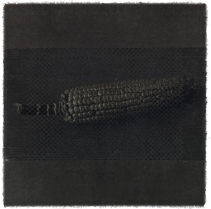 © Giljung Yoon - seesaw 16 _ corn