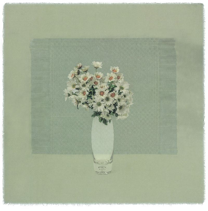 © Giljung Yoon - seesaw 05 _ chrysanthemum