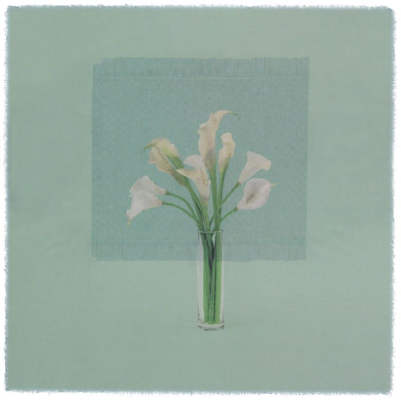 © Giljung Yoon - seesaw 08 _ calla