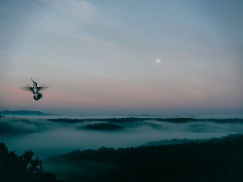 © Terra Fondriest - Image from the Growing Up Ozarks photography project