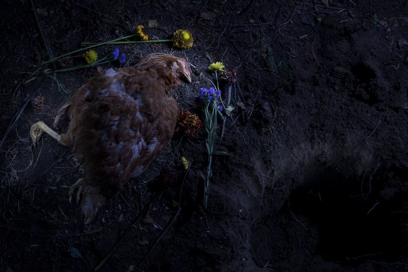 © Lara Wilde - Image from the Lasting, not lasting. photography project