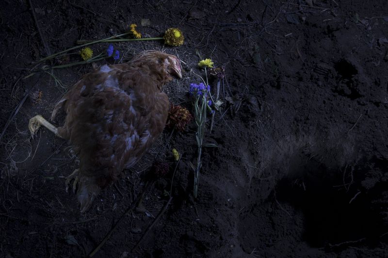 © Lara Wilde - Image from the Lasting, not lasting. photography project