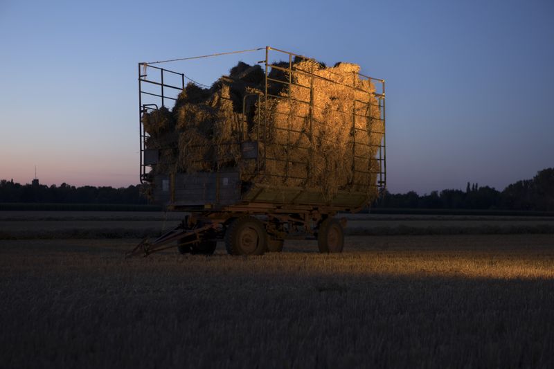 © Lara Wilde - Fetching thatch form the fields in the evening. The wagon later caught fire because it was standing in the sun.