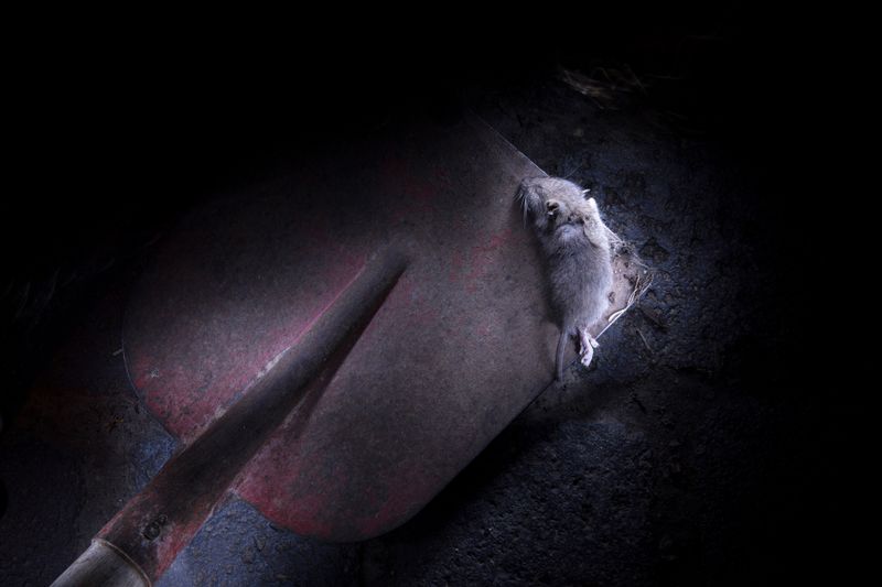 © Lara Wilde - Image from the Lasting, not lasting. photography project