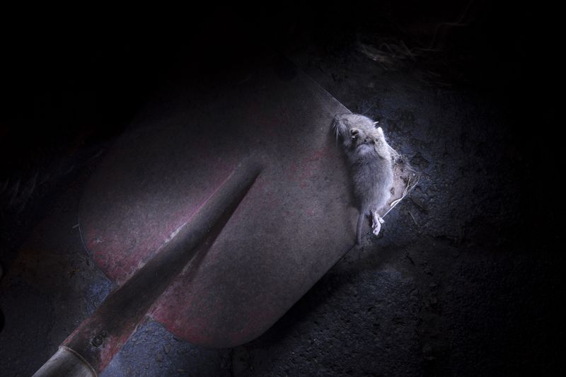 © Lara Wilde - Image from the Lasting, not lasting. photography project