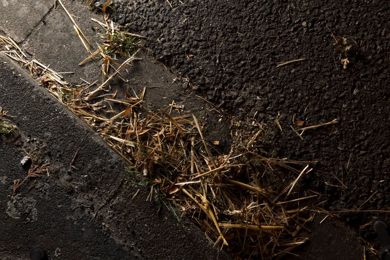 © Lara Wilde - Straw blowing from the fields back to the village. A sign that fall is coming and the summer is about to end.