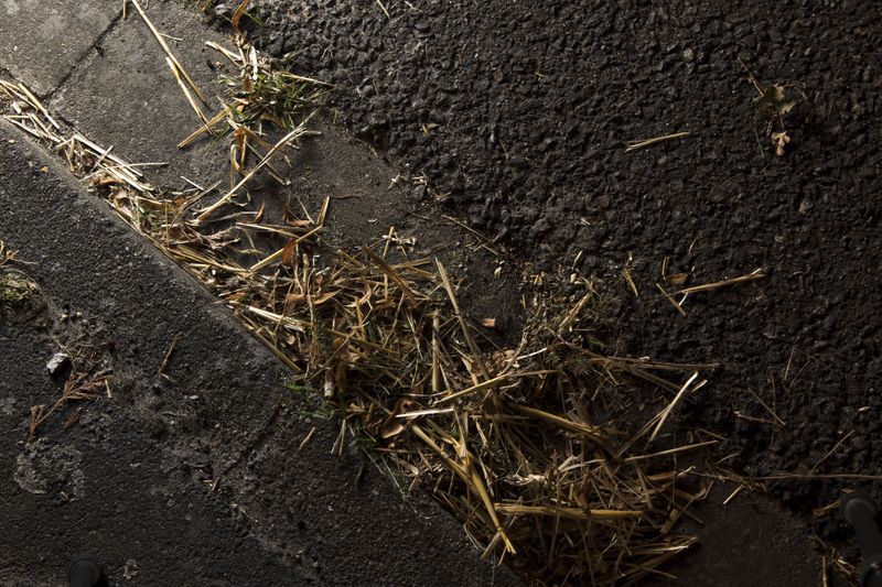 © Lara Wilde - Straw blowing from the fields back to the village. A sign that fall is coming and the summer is about to end.