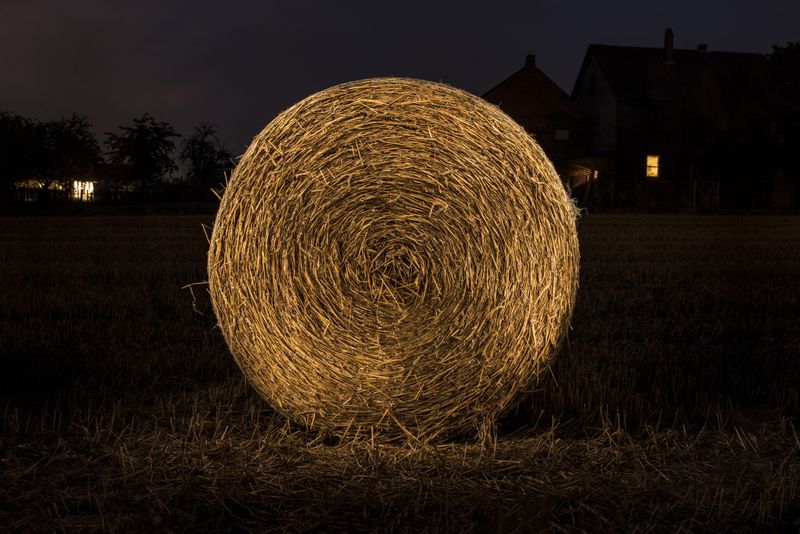 © Lara Wilde - Thatch, rolled. In the background the house from the farmers window.