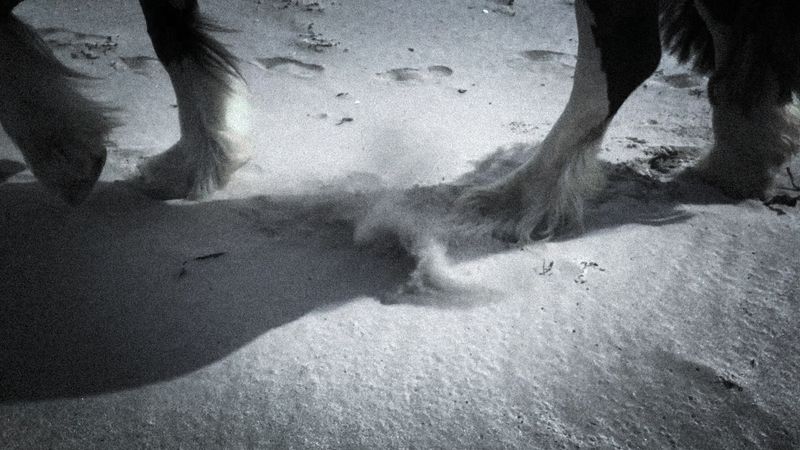 © Camila Vasconcellos - Image from the Letters to Maria  photography project