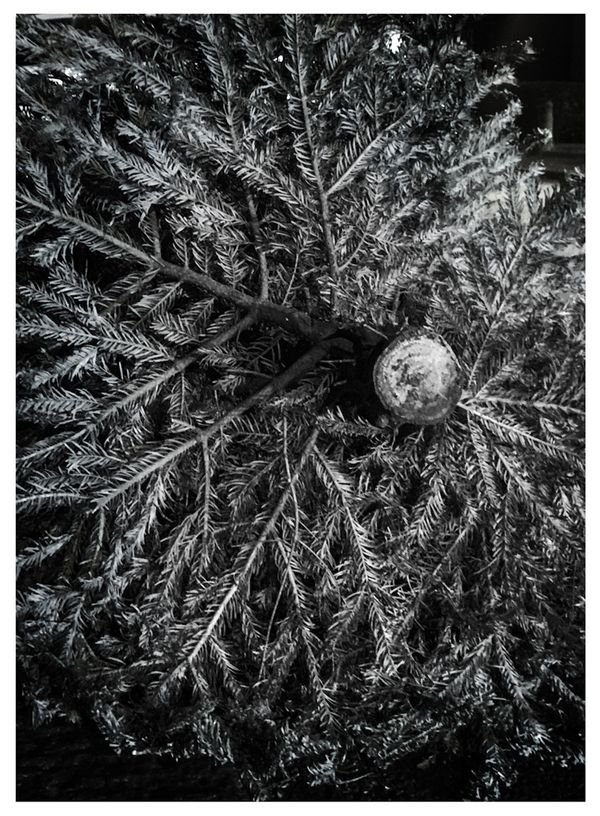 © Camila Vasconcellos - Image from the Between being and nothingness photography project