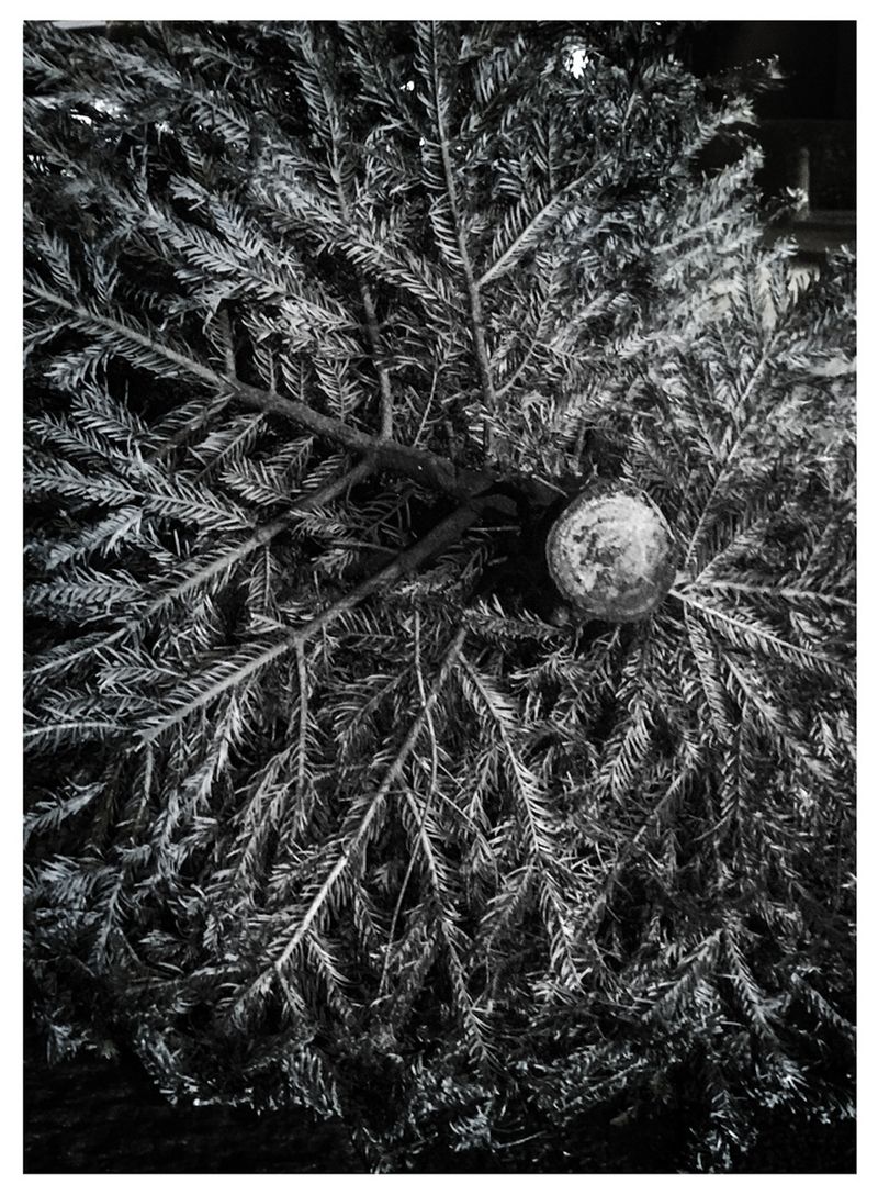 © Camila Vasconcellos - Image from the Between being and nothingness photography project